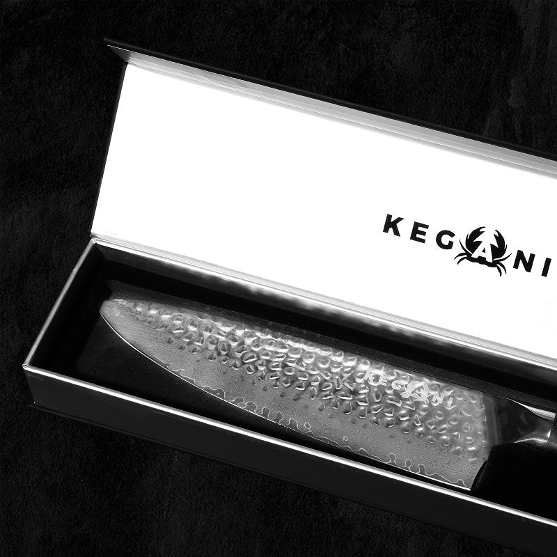 Kegani Chef Knife, 8 Inch Damascus Chefs Knife