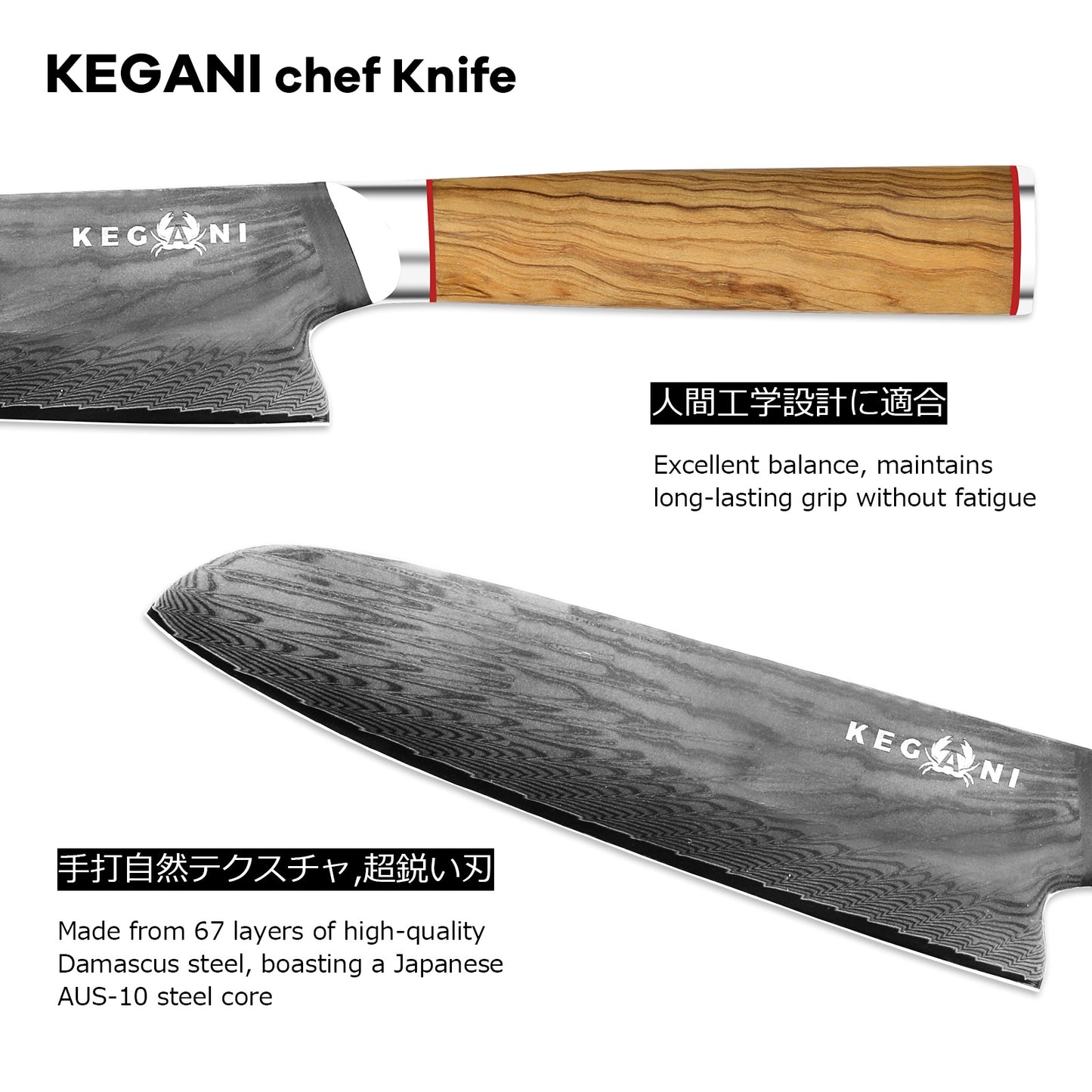 Kegani Kiritsuke Knife - 8 Inch Professional Japanese Chef's Knife
