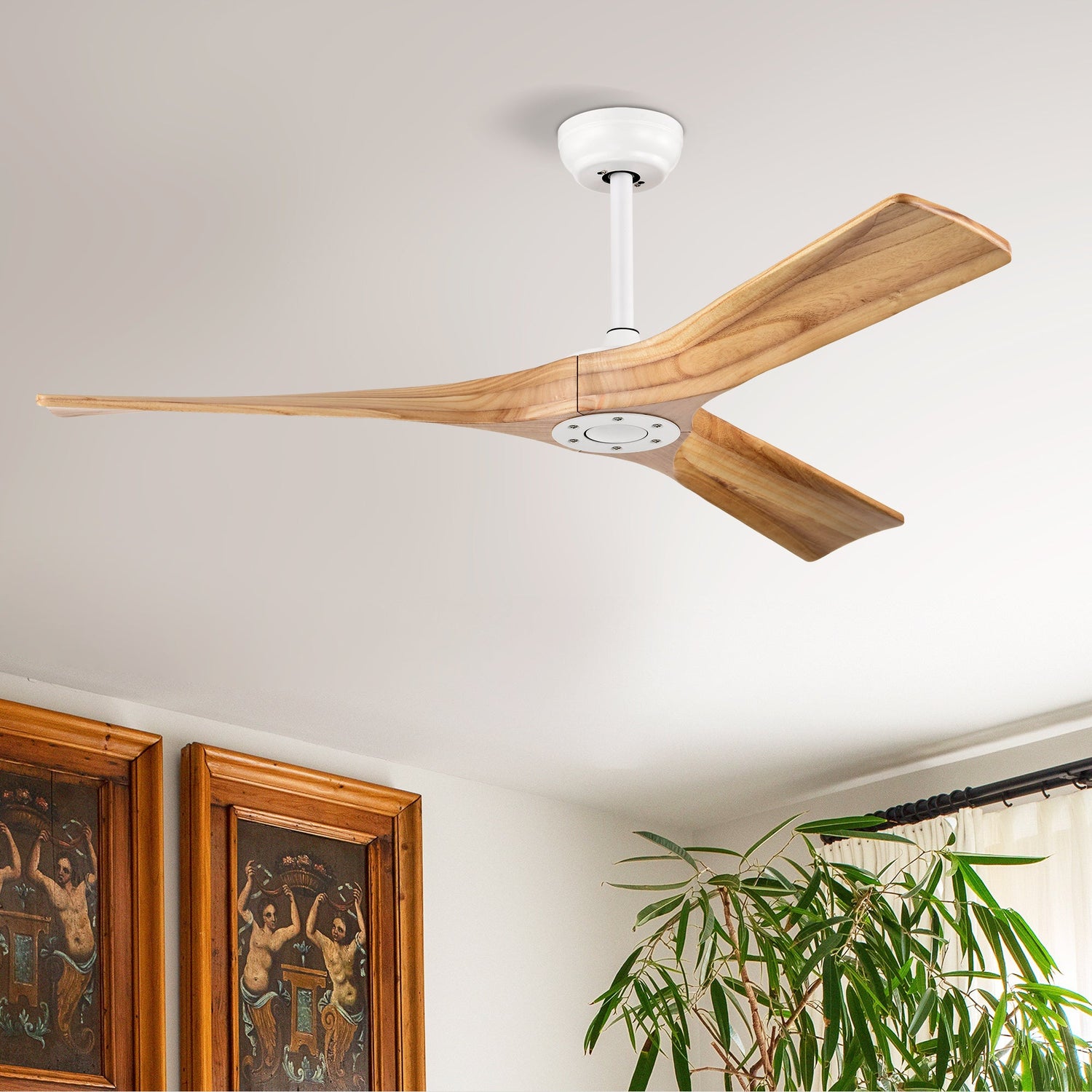 Lights / Ceiling Fans