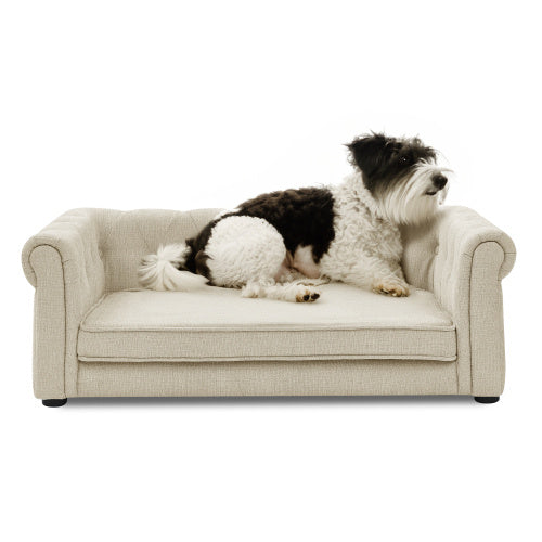 Elegant Elevated Pet Sofa – Modern Comfort for Your Furry Friend