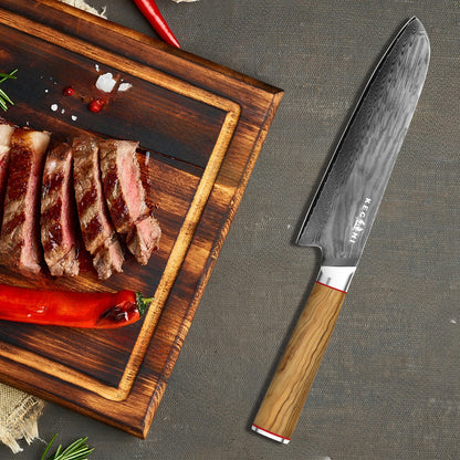 Kegani Kiritsuke Knife - 8 Inch Professional Japanese Chef's Knife